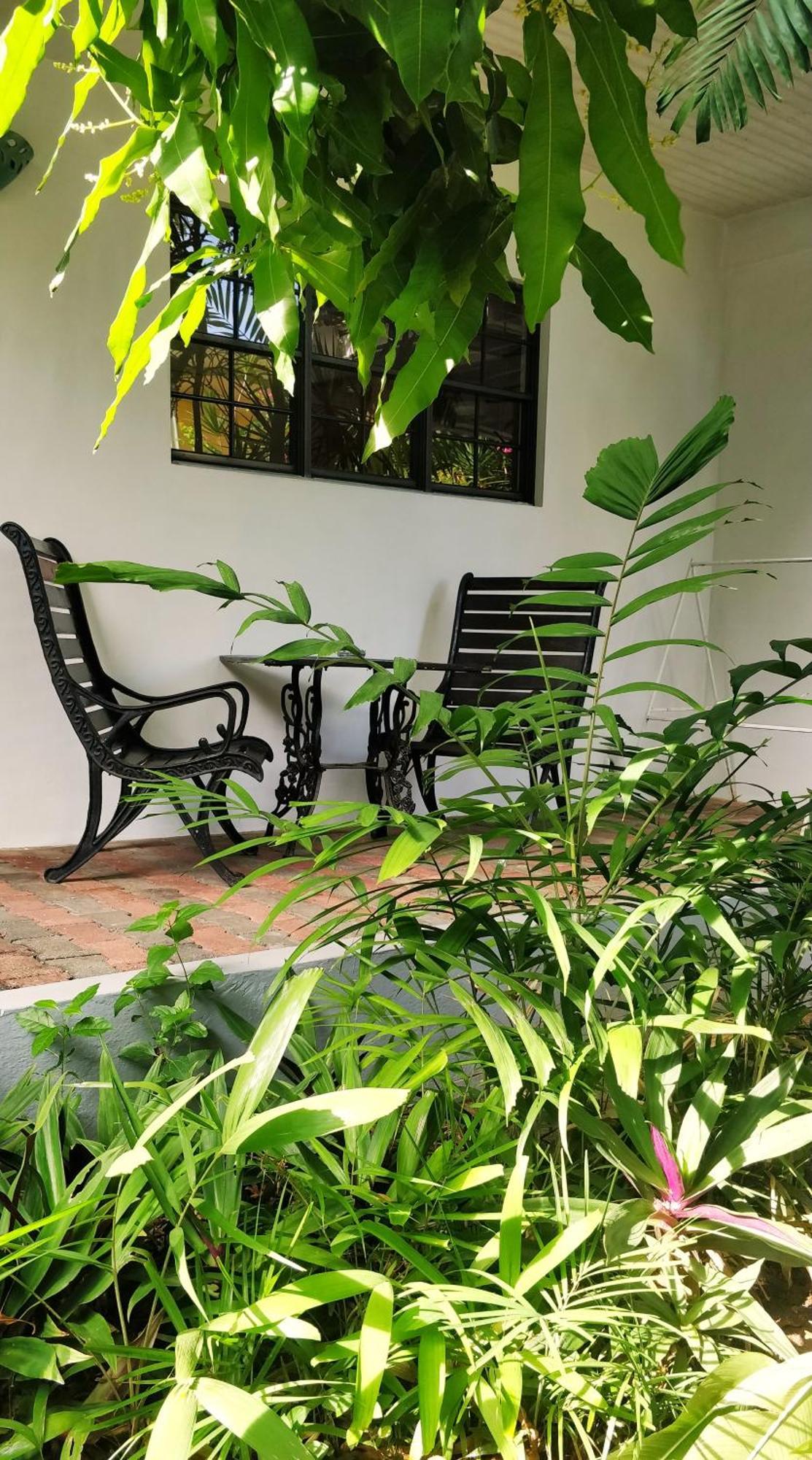Bananaquit Tobago -Stay Near The Beach Crown Point Ngoại thất bức ảnh
