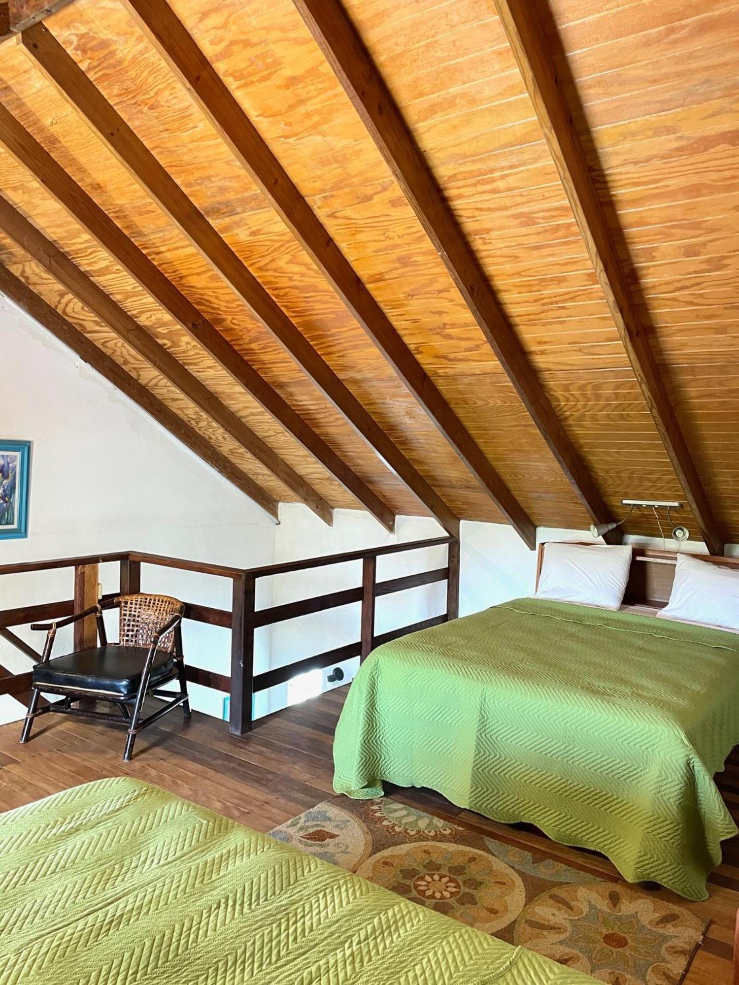 Bananaquit Tobago -Stay Near The Beach Crown Point Ngoại thất bức ảnh
